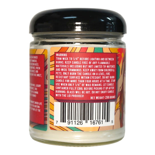 Blazy Bae - Modest and Co. Odor Fighting Candle