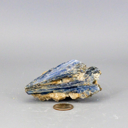Blue Kyanite Crystal Blades in Clear Quartz Cluster