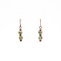Fossils On Copper