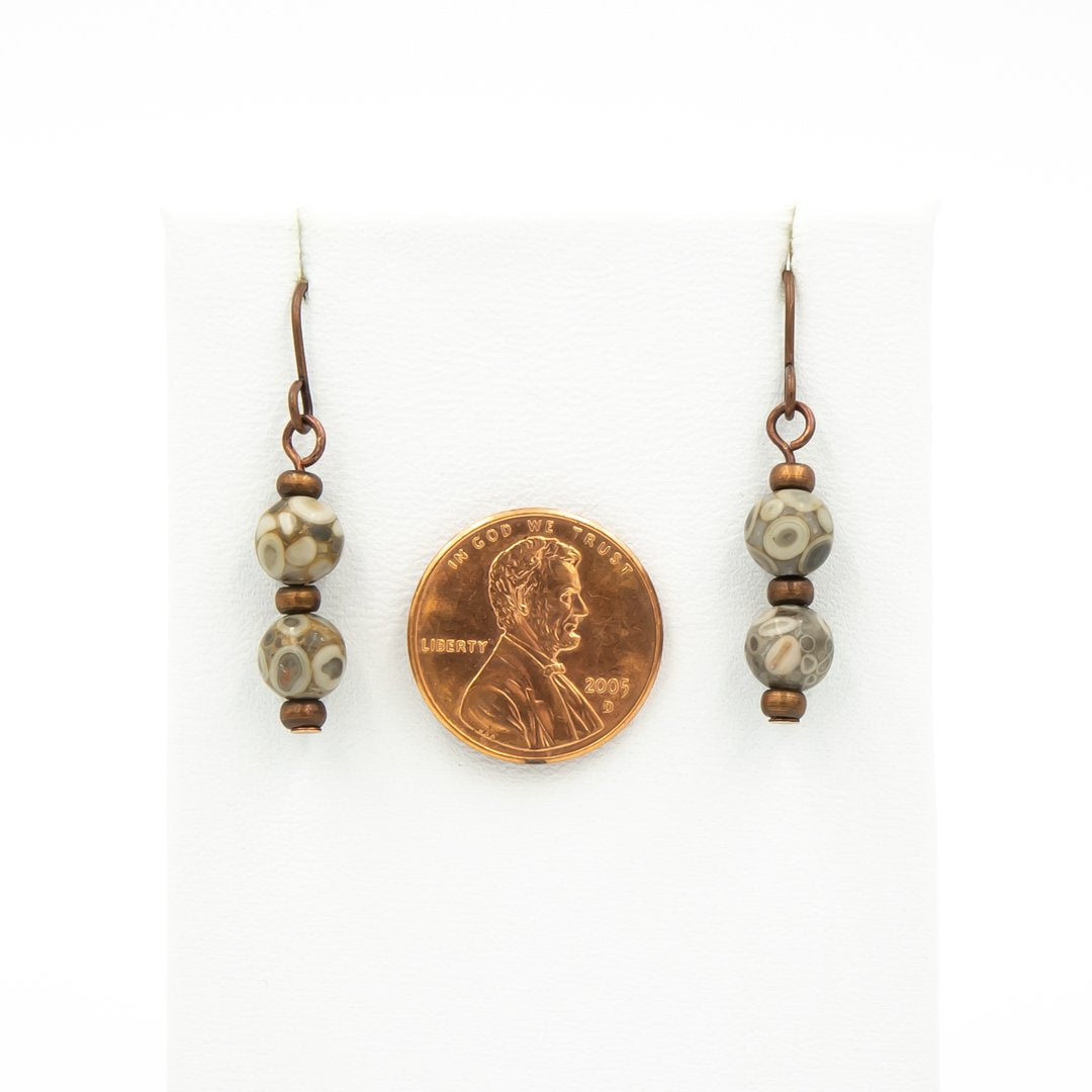 Fossils On Copper