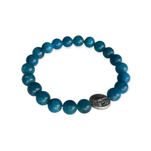 Blue Apatite Bracelet 8 mm Round Beads