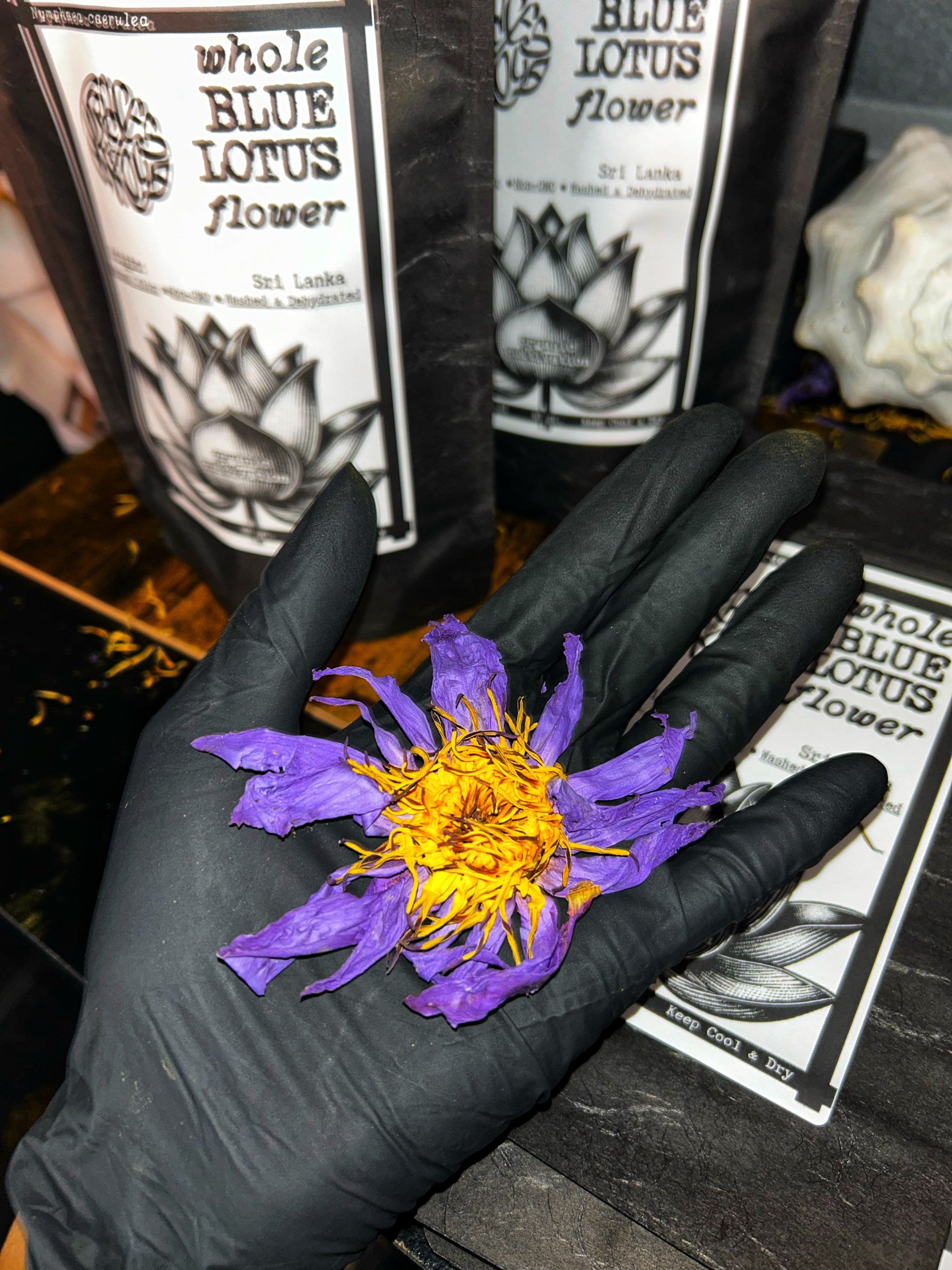 Whole Blue Lotus Flowers