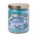 Sea Glass Candle - Smoke Odor Exterminator